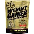 GOLD'S GYM ウエイトゲイナー チョコレート風味 1kg