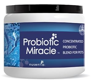 Probiotic Miracle Dog Probiotics for Dogs (360 servings)