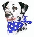 Dog Accessories - Bandana Blue Polka Dot