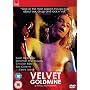 Velvet Goldmine [DVD] [1998]