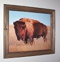 Buffalo Picture Print in Rope-trimmed Pine Wood Frame