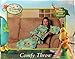 Disney Fairies Flower Party Blanket/SLEEVES Comfy Throw YOUTH