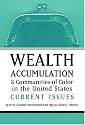 Wealth Accumulation and Communities of Color in the United States: Current Issues