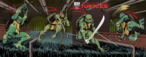  Teenage Mutant Ninja Turtles #1 the Dan Duncan RI B Edition (TMNT)