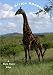 South Africa Adventures