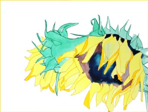 "Waking Up", Giclee Print of Sunflower Flower Painting, Various Sizes (10 x 13)