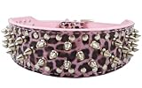 17"-20" Leopard Leather Spiked Studded Dog Collar 2" Wide, 31 Spikes 52 Studs, Pit Bull, Boxer
