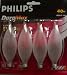 Tools & Hardware : 40watt Frosted Candelabra Bulbs Philips Dura Max Box of 20