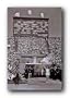 Olympic Games Poster Original Torch New Print 1315