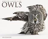 North American Owls 2012 Calendar