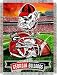 Georgia Bulldogs NCAA Woven Tapestry Throw (Home Field Advantage) (48x60)