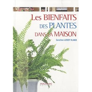 Les bienfaits des plantes dans la maison
