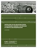 Capitalizing on De-Industrialization to Sustainably Address the Demands of Growth and Modernization