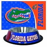 Florida Gators Pet Bowl and Mat Combo