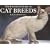 Ultimate Guide to Cat Breeds