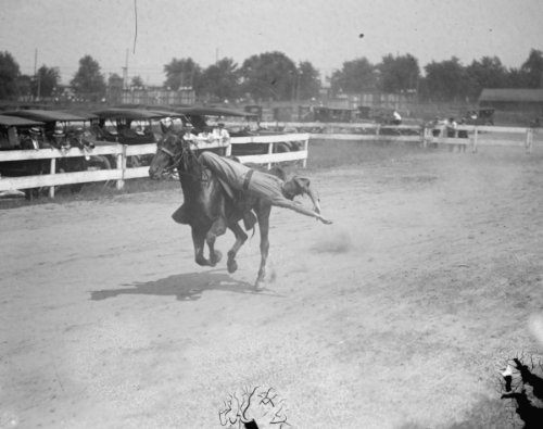 Buy Cheap 1922 photo Cavalry drill at auto races
