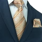 Landisun 10L Copper Novelty Pattern Mens Silk Tie Set: Tie+Hanky &Plastic Hook