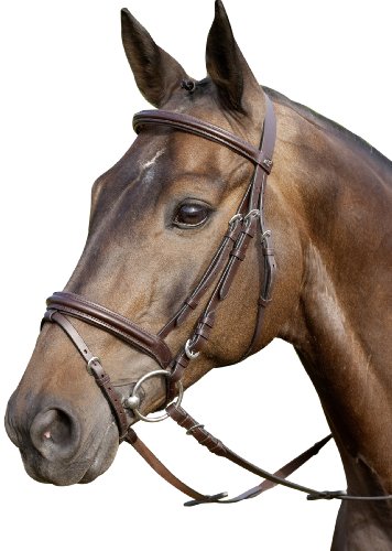 United Sportproducts Germany USG  2005 Trensenzaum "Classico", Pony, englisches Reithalfter, braunes Leder / schwarz unterlegt, silberfarbene Schn ...