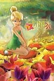 Disney Feen Elfen Glöckchen Tinkerbell Film Poster Bild