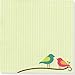 Bird Song Boxed Desk Notes (Stationery, Note Pad)