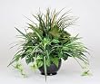 Artificial Pothos Mixed Greenery Centerpiece