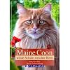 Maine Coon: Wilde Schale, weicher Kern