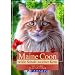 Maine Coon: Wilde Schale, weicher Kern