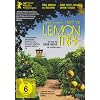 Lemon Tree