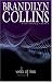 Web of Lies (Hidden Faces Series #4)