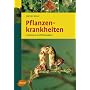 Pflanzenkrankheiten: Erkennen und behandeln