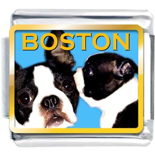 image link - - B001PPVDOG