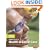 S/NVQ Level 2 Health and Social Care: Easy Steps: Essential Knowledge for Less Confident Candidates in an Easy-to-use Format (NVQ/SVQ Health and Social Care)