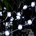 Christmas Snow Owl LED String Lights By Impress Life® on 10ft Copper Wire 40 Cold White LEDs with Remote for Thanksgiving/Baby Shower/Outdoor/Indoor Parties Decorations