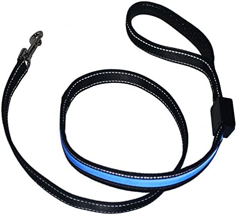 N-E-R LED light Up Dog Leash - Strong Durable Nylon Material with USB Rechargeable Battery &amp; Reflective Stitching - Increase Visibility &amp; Safety (Blue)