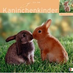 Kaninchen 2008 Broschurkalender. Multipicture mit Texten & Poster