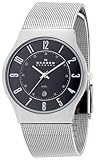 SKAGEN (XJ[Q) rv basic steel mens 233XLSSM P[X: 36mm Y [KAi]