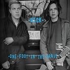 Beck - One Foot in the Grave mp3 download