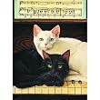 Ebony and Ivory 1000pc Jigsaw Puzzle by Drew Strouble