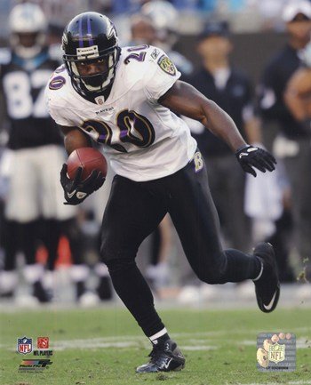 Ed Reed 2010 Action - Licensed Photo by PhotoFile (8x10)