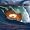 Amazon MP3: The Emergent Sea at MP3 downloads for the name: 51TsGmy9KrL._SL30_