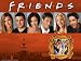 Friends Season 4