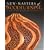 New Masters of Woodturning: Expanding the Boundaries of Wood Art