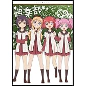 ゆるゆりｖｏｌ．６（すぺしゃるさうんどＣＤ＆ごらく部＆生徒会思い出アルバム）【初回限定仕様】 [DVD]