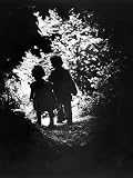51TshnaQTnL. SL160  Children of Photographer with Eugene Smith Walking Hand in Hand in Woods Behind His Home Collections Photographic Poster Print by W. Eugene Smith, 24x32