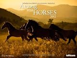 2012 Among wild horses  Super Poster Calendar  (Horizontal)