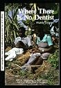 Where There Is No Dentist