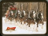 Playing Cards: Budweiser Clydesdale Horses ~ 2 Decks ~ Collectible Tin Box