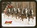 Playing Cards: Budweiser Clydesdale Horses ~ 2 Decks ~ Collectible Tin Box