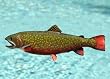 Taxidermy Quality 13" Fiberglass Brook Trout Wall Mount