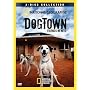 National Geographic Dogtown - Friends in Need